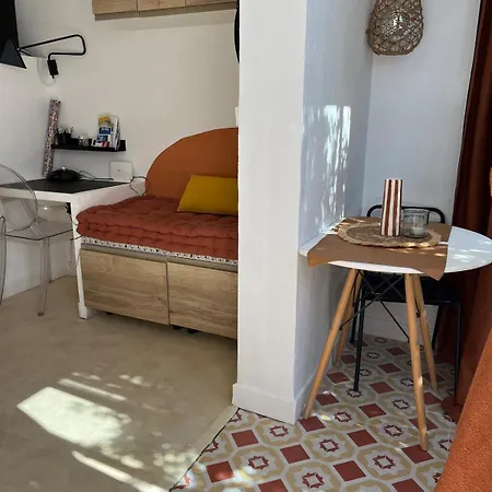 Avec Terrasse à 300 M De La Appartement Le Lavandou