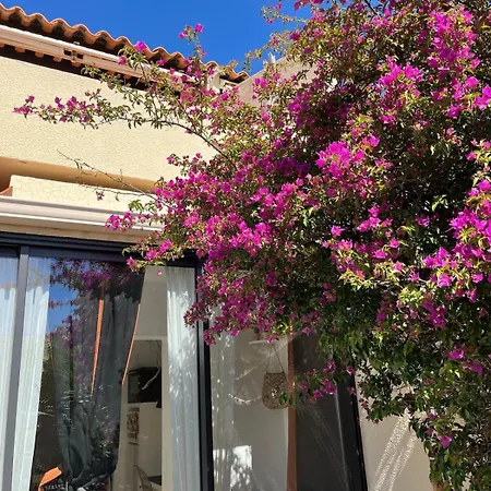 Avec Terrasse à 300 M De La Appartement Le Lavandou